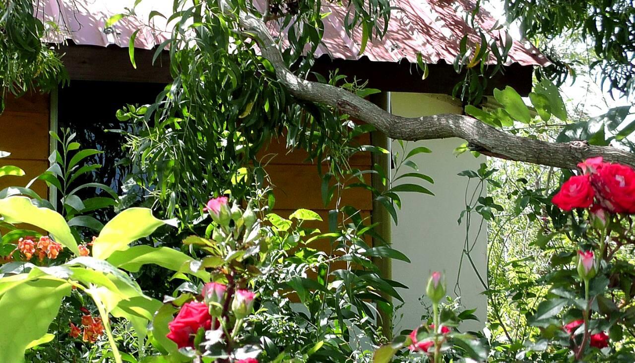 Sunntop Cabana Trincomalee Kültér fotó